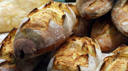 Hygi&egrave;ne catastrophique : une boulangerie ferm&eacute;e pr&egrave;s de Lyon