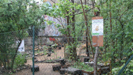 Jardin des "Pendarts" : Lyon Citoyenne & solidaire et EELV pour une convention d’occupation temporaire Jardin des "Pendarts" : Lyon Citoyenne & solidaire et EELV pour une convention d’occupation temporaire
