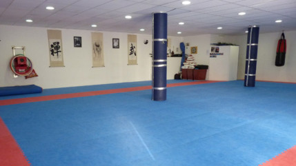 Le comité du Rhône de karaté pourrait perdre sa délégation