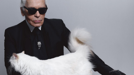 Vuitton crée des bagages sur mesure pour... la chatte de Karl Lagerfeld! Vuitton crée des bagages sur mesure pour... la chatte de Karl Lagerfeld!