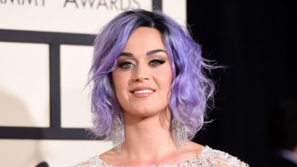 Katy Perry ne ressemble plus du tout à ça ! Katy Perry ne ressemble plus du tout à ça !