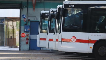 Keolis et RATP désignés pour gérer les TCL dès 2025 : l'allotissement officiellement approuvé à Lyon Keolis et RATP désignés pour gérer les TCL dès 2025 : l'allotissement officiellement approuvé à Lyon