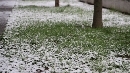 La Métropole de Lyon déclenche de nouveau son dispositif de viabilité hivernale en raison d'un risque de verglas
