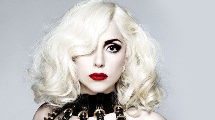 Lady Gaga lance sa marque de vêtements pour chiens ! Lady Gaga lance sa marque de vêtements pour chiens !