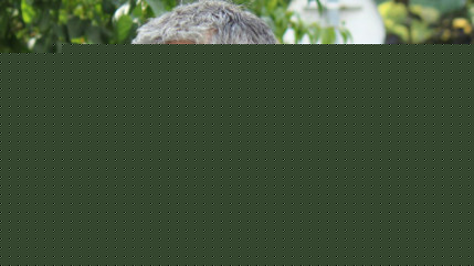 Laurent Wauquiez inscrit au Lyon Urban Trail ! Laurent Wauquiez inscrit au Lyon Urban Trail !