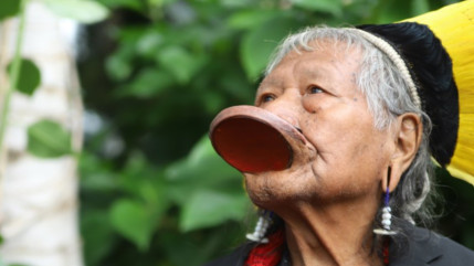 Le chef indigène Raoni attendu à Lyon ce lundi et ce mardi