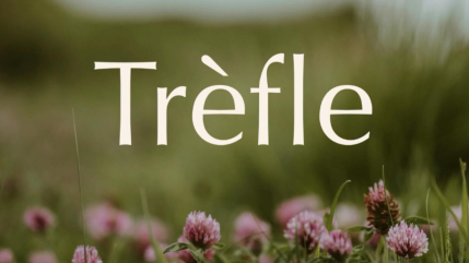 Le premier restaurant gastronomique végétalien de Lyon va bientôt ouvrir ses portes ! Le premier restaurant gastronomique végétalien de Lyon va bientôt ouvrir ses portes !