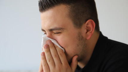 Le Rhône en alerte rouge pour les allergies aux pollens d’Aulne et de Noisetier Le Rhône en alerte rouge pour les allergies aux pollens d’Aulne et de Noisetier