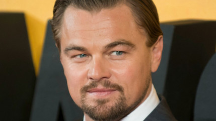Offrez vous une nuit chez Leonardo DiCaprio pour la somme de... Offrez vous une nuit chez Leonardo DiCaprio pour la somme de...