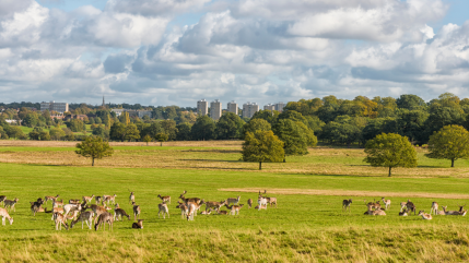 Les meilleurs parcs animaliers autour de Lyon