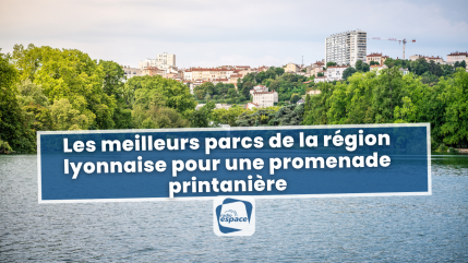 Les meilleurs parcs de la région lyonnaise pour une promenade printanière Les meilleurs parcs de la région lyonnaise pour une promenade printanière
