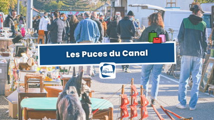 Les Puces du Canal Les Puces du Canal