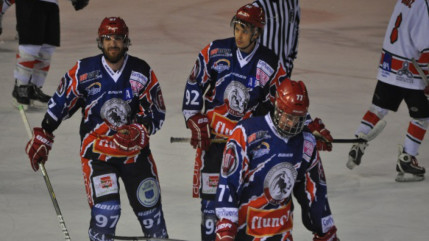 Coupe de la Ligue : le LHC affronte Gap ce mardi soir pour un match sans enjeu Coupe de la Ligue : le LHC affronte Gap ce mardi soir pour un match sans enjeu