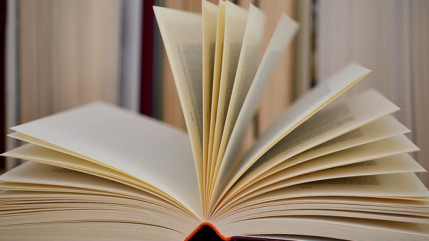 La romancière française Juliette Benzoni est décédée ce week-end à l'âge de 95 ans La romancière française Juliette Benzoni est décédée ce week-end à l'âge de 95 ans