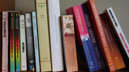 La Médiathèque de Bron vend ses anciens livres La Médiathèque de Bron vend ses anciens livres