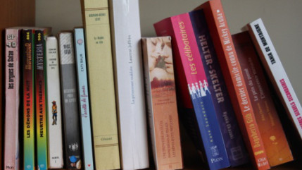 Le prix SNCF du Polar a été attribué à Craig Johnson pour son roman Enfants de poussière Le prix SNCF du Polar a été attribué à Craig Johnson pour son roman Enfants de poussière