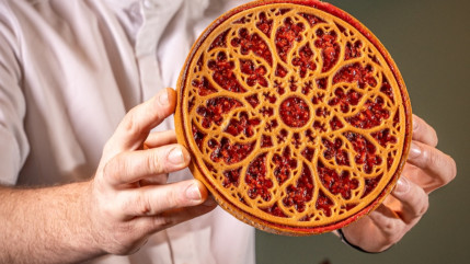 Lyon : un p&acirc;tissier va tenter le record du monde de la plus grande tarte &agrave; la praline