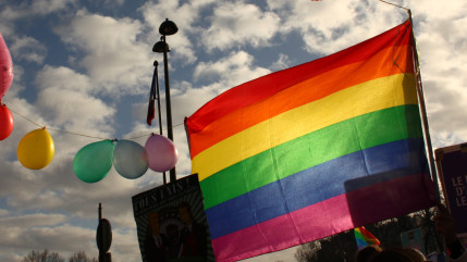 Un référendum sur le mariage homosexuel a lieu ce vendredi en Irlande où un pacte d'union civile entre personnes de même sexe existe déjà depuis 2011 Un référendum sur le mariage homosexuel a lieu ce vendredi en Irlande où un pacte d'union civile entre personnes de même sexe existe déjà depuis 2011