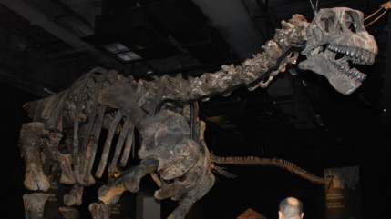 La 33e &eacute;dition des Journ&eacute;es europ&eacute;ennes du patrimoine aura lieu les 17 et 18 septembre prochainsavec pour th&egrave;me "Patrimoine et citoyennet&eacute;"