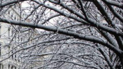 Neige : 15 départements ont été placés ce lundi en vigilance orange Neige : 15 départements ont été placés ce lundi en vigilance orange