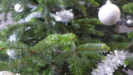 Les Français ont prévu de consacrer 577 euros, soit 0,23 % de plus qu’en 2014, aux repas, cadeaux et loisirs des fêtes de fin d’année Les Français ont prévu de consacrer 577 euros, soit 0,23 % de plus qu’en 2014, aux repas, cadeaux et loisirs des fêtes de fin d’année