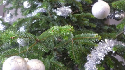 Une étude révèle que les lumières de Noël aux Etats-Unis consomment largement plus d'énergie que l'Ethiopie en un an Une étude révèle que les lumières de Noël aux Etats-Unis consomment largement plus d'énergie que l'Ethiopie en un an