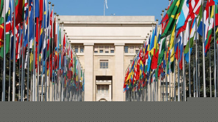 Le drapeau palestinien a été hissé au siège de l'ONU pour la première fois Le drapeau palestinien a été hissé au siège de l'ONU pour la première fois