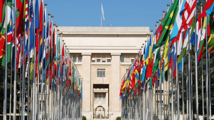 L'ONU a annonc&eacute; avoir ouvert une enqu&ecirc;te sur de nouvelles accusations d'abus sexuels et d'exploitation sexuelle contre ses Casques bleus