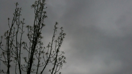 Maroc : au moins 32 personnes sont mortes dans des intemp&eacute;ries "exceptionnelles" qui ont touch&eacute; depuis ce week-end le sud du pays