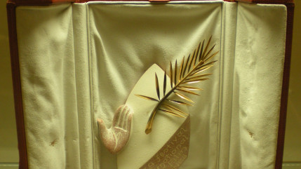 Cinéma : la palme d'or du 68e Festival de Cannes est revenue au film "Dheepan" du français Jacques Audiard Cinéma : la palme d'or du 68e Festival de Cannes est revenue au film "Dheepan" du français Jacques Audiard