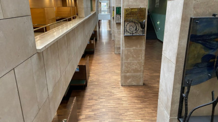 Pollution de l'air à l'école Michel Servet : une audience ce vendredi devant le tribunal administratif