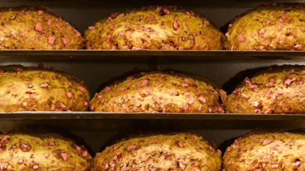 Pralus fait peau neuve et installe deux nouvelles boutiques à Lyon !