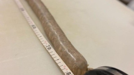 Près de Lyon : le record du monde de la plus longue andouillette battu !