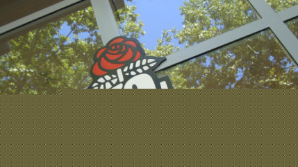 Election municipale annul&eacute;e &agrave; V&eacute;nissieux : le PS fait appel