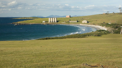 Australie : un plongeur a été tué par un requin alors qu'il pêchait avec sa fille Australie : un plongeur a été tué par un requin alors qu'il pêchait avec sa fille