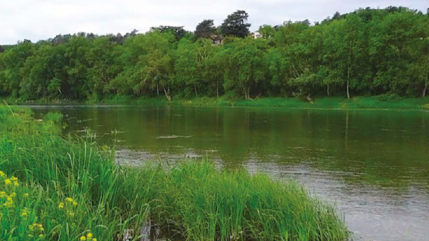 Rhône : Balade autour de Lyon - L'île de la table ronde Rhône : Balade autour de Lyon - L'île de la table ronde