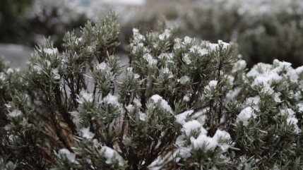 Rhône : vigilance orange neige et verglas ce mercredi ! Rhône : vigilance orange neige et verglas ce mercredi !