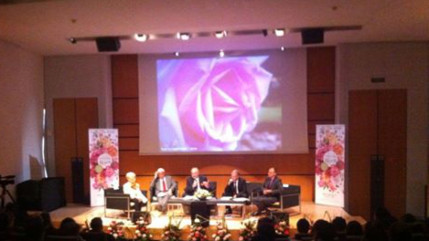 La rose à l’honneur à Lyon pendant 6 mois La rose à l’honneur à Lyon pendant 6 mois