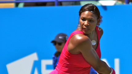 Tennis : la finale dame de l'Open d'Australie opposera samedi Serena Williams et Maria Sharapova