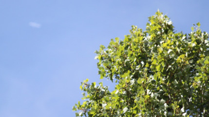 Climat: la conf&eacute;rence de l'ONU &agrave; Lima prolong&eacute;e