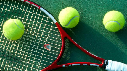 Coupe Davis : la Grande-Bretagne a triomphé en finale contre la Belgique Coupe Davis : la Grande-Bretagne a triomphé en finale contre la Belgique