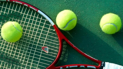 Open d'Australie : Serena Williams a battu Agnieszka Radwanska et se qualifie pour la finale de la compétition Open d'Australie : Serena Williams a battu Agnieszka Radwanska et se qualifie pour la finale de la compétition