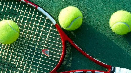 Tennis : Milos Raonic, n&deg;1 canadien, a d&eacute;clar&eacute; forfait pour la rencontre du premier tour de la Coupe Davis contre la France