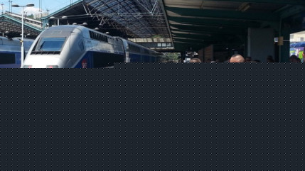 SNCF : trafic perturb&eacute; dans la r&eacute;gion lyonnaise apr&egrave;s des vols de c&acirc;bles