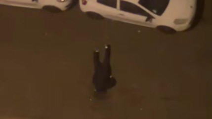 Tirs en pleine nuit pr&egrave;s de Lyon : la tension monte