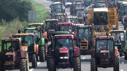 Selon un récent sondage, les Français cautionnent à 81% les manifestations d'agriculteurs Selon un récent sondage, les Français cautionnent à 81% les manifestations d'agriculteurs