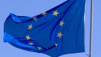 La Bosnie posera sa candidature d'adhésion à l'Union européenne le 15 février prochain La Bosnie posera sa candidature d'adhésion à l'Union européenne le 15 février prochain