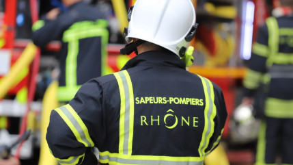 Un homme meurt écrasé par un arbre près de Lyon