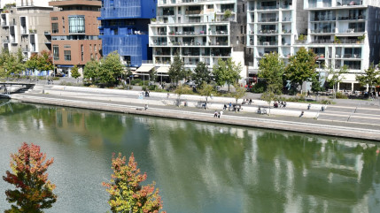 Une piscine naturelle bientôt installée à la Darse de Confluence à Lyon ?