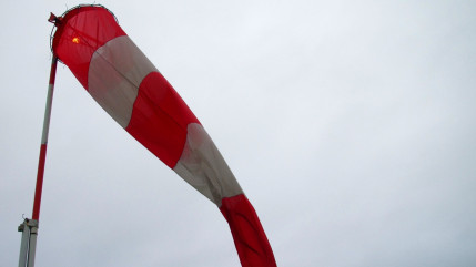 Vents violents : les grands parcs de Lyon et les cimetières fermés ce jeudi